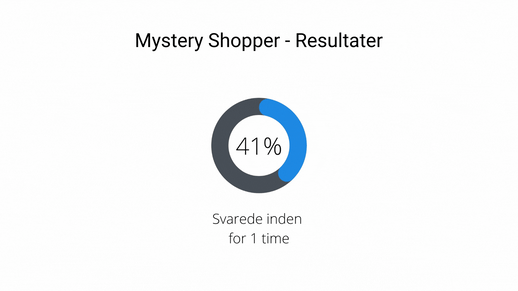 Mystery Shopper- Resultater